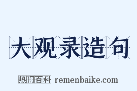 大观录造句是什么意思的图片